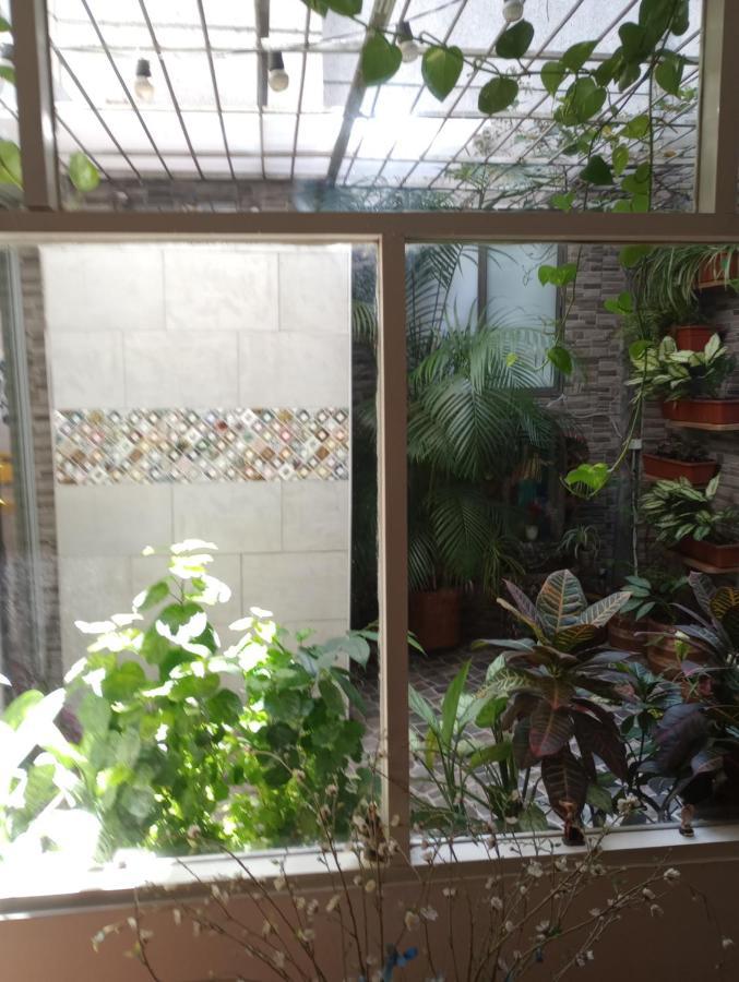Noras Homestay Laureles ميديلين المظهر الخارجي الصورة